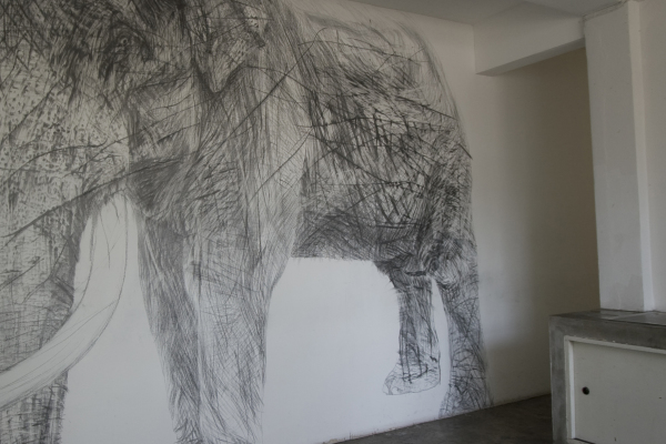 Elefante  52008-72008+, Gallery Ver