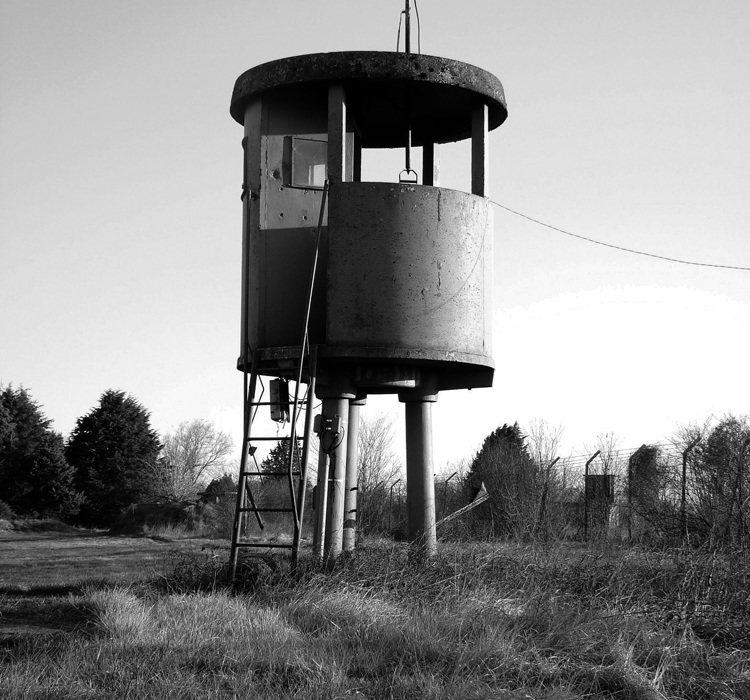 toffolini01